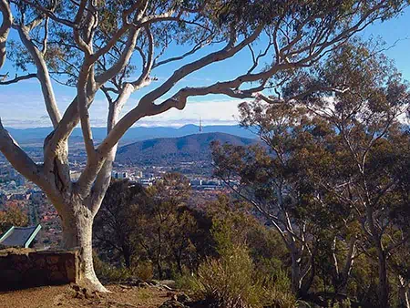 The view from Mt Ainslie, Canberra